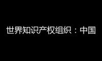 世界知识产权组织�：中国是国际专利申请最大来源国