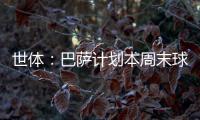 快排公司十年历程，霸屏兔 seo 的崛起与坚守