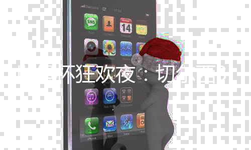 帕尔默在2024/25赛季当中