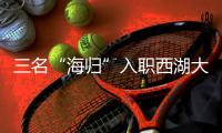 快排公司十年历程，霸屏兔 seo 的崛起与坚守