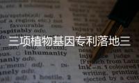 三项植物基因专利落地三亚崖州湾科技城