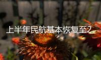 快排公司十年历程，霸屏兔 seo 的崛起与坚守