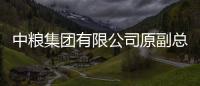 中粮集团有限公司原副总经理周政被提起公诉