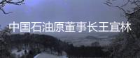 中国石油原董事长王宜林被查