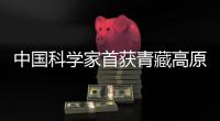 中国科学家首获青藏高原大范围湖泊实测水质数据