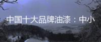 中国十大品牌油漆
：中小油漆企业需正确治理市场乱象