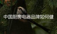中国厨房电器品牌如何健康长寿发展下去?