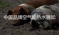 快排公司十年历程，霸屏兔 seo 的崛起与坚守
