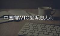 快排公司十年历程，霸屏兔 seo 的崛起与坚守