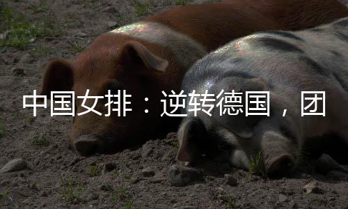 女排逆转以3:2战胜德国队