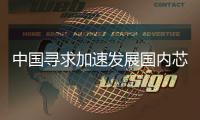 快排公司十年历程，霸屏兔 seo 的崛起与坚守