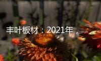 丰叶板材：2021年，我们想要这样!