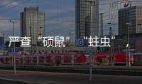 严查“硕鼠”“蛀虫”，十起典型案例公布！