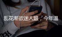 乱花渐欲迷人眼，今年温网真的冷�！