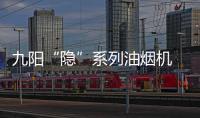 快排公司十年历程，霸屏兔 seo 的崛起与坚守