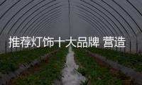 快排公司十年历程，霸屏兔 seo 的崛起与坚守