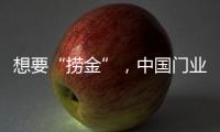 快排公司十年历程，霸屏兔 seo 的崛起与坚守