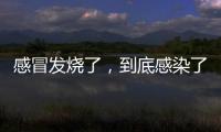 感冒发烧了，到底感染了啥？