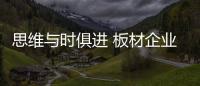 快排公司十年历程，霸屏兔 seo 的崛起与坚守