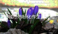 把城市地标化作生日礼物！珠海，生日快乐	！