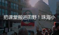 把课堂搬进田野！珠海小学生耕读园里割麦子