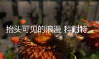 抬头可见的浪漫 科耐特吊顶带你寻回新年的向往