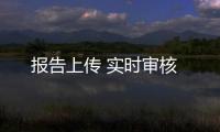 报告上传 实时审核