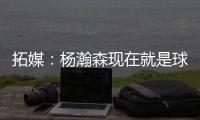 快排公司十年历程，霸屏兔 seo 的崛起与坚守