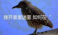 快排公司十年历程，霸屏兔 seo 的崛起与坚守