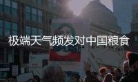 极端天气频发对中国粮食生产有何影响？