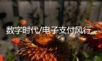数字时代/电子支付风行内地
：用过谁愿放手