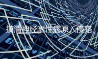 摸清神经嗜性病原入侵路径 助力人畜共患病源头防控