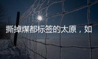 快排公司十年历程，霸屏兔 seo 的崛起与坚守