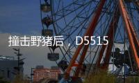 撞击野猪后，D5515动车机械师的致命检修