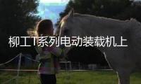 快排公司十年历程，霸屏兔 seo 的崛起与坚守