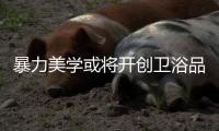 暴力美学或将开创卫浴品牌新景象