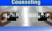 快排公司十年历程，霸屏兔 seo 的崛起与坚守