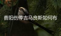 快排公司十年历程，霸屏兔 seo 的崛起与坚守