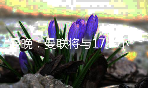 曾代表英格兰U17国家队出战