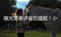 曝光零差评背后猫腻！小红书、闲鱼成水军接单重灾区
