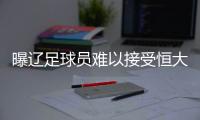 快排公司十年历程，霸屏兔 seo 的崛起与坚守