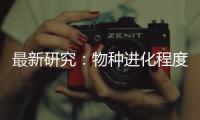 快排公司十年历程，霸屏兔 seo 的崛起与坚守