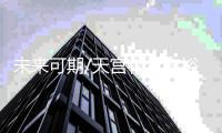 快排公司十年历程，霸屏兔 seo 的崛起与坚守