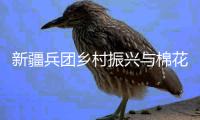 新疆兵团乡村振兴与棉花产业发展论坛举办