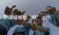 快排公司十年历程，霸屏兔 seo 的崛起与坚守