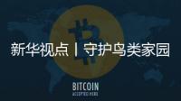 新华视点丨守护鸟类家园共绘生态蓝图