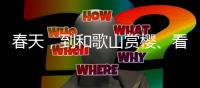 春天，到和歌山赏樱、看猫