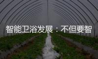 快排公司十年历程，霸屏兔 seo 的崛起与坚守