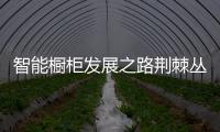 智能橱柜发展之路荆棘丛生