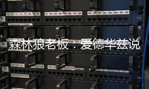 ”森林赛并他100%投入